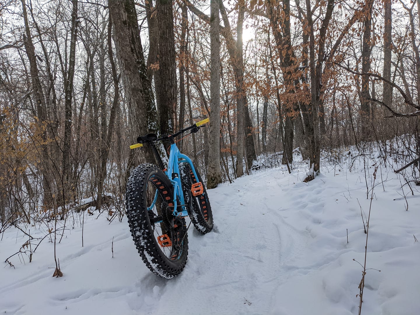 Trail Conditions 1/7